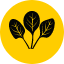 Superfoods Supplements