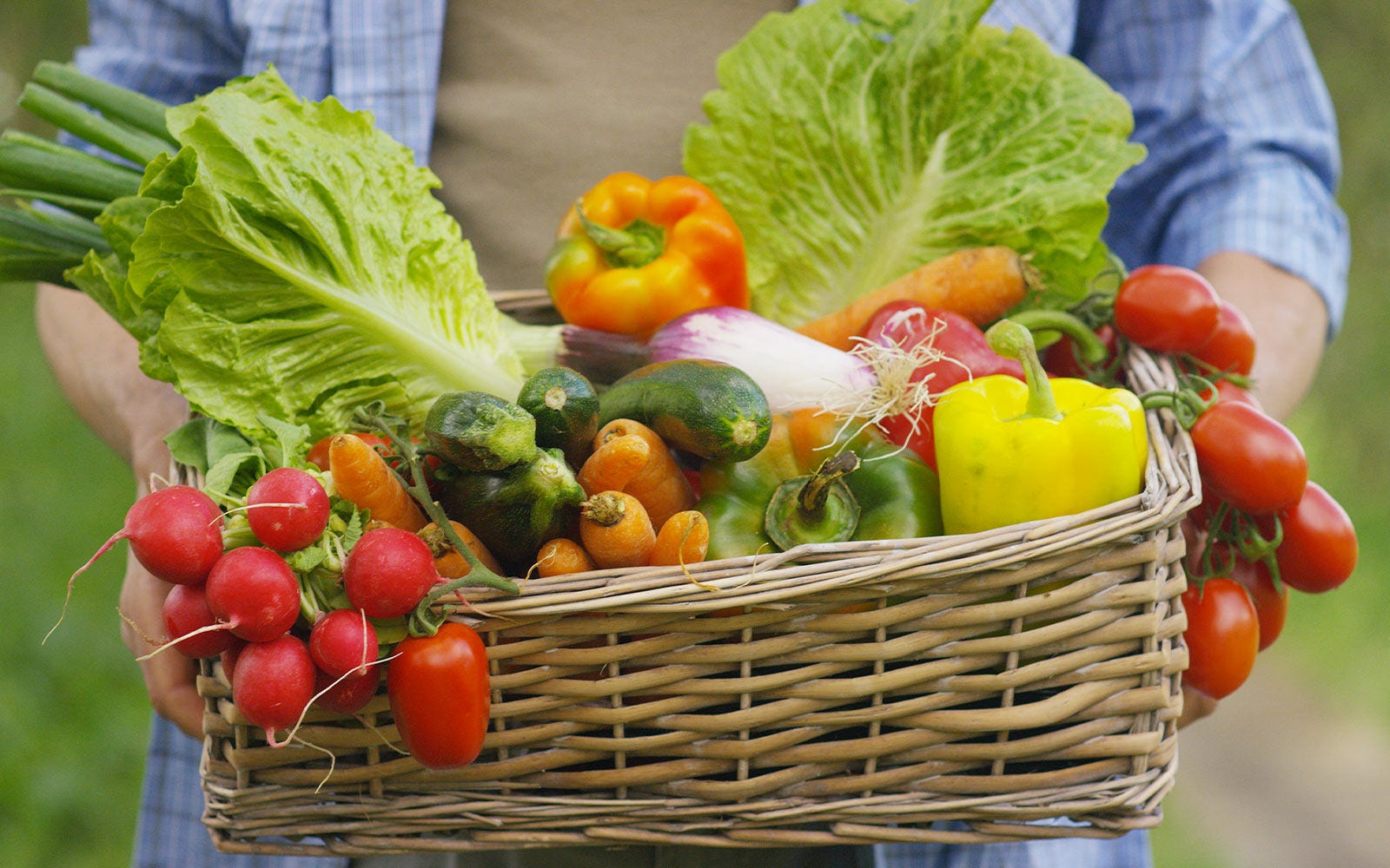 basket of fruits and vegetables