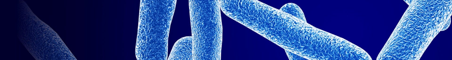 Probiotics